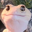geckostare e Slack emoji