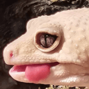 geckolick e Slack emoji