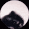 pedro racoon Slack emoji