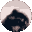 pedro Slack emoji