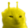 cat ylorp e Slack emoji