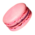 macaron Slack emoji
