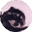 pedro pedro pedro Slack emoji