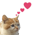 catluvve Slack emoji