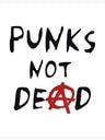 punksnotdead1 Slack emoji