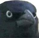 angrycrowq Slack emoji