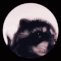 pedro pedro raccoon Slack emoji