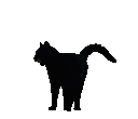 blackcat e Slack emoji