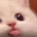 blepkittyq Slack emoji