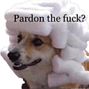 dog pardonq Slack emoji