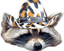 howdycoon q Slack emoji