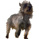 toto wizard of oz Slack emoji