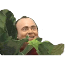 hide n spagett Slack emoji