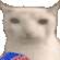 cat chips Slack emoji