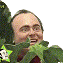 creeper2q Slack emoji