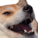 7882 dogekek Slack emoji