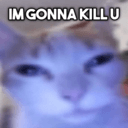 catkillu e Slack emoji