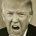 trump hitler Slack emoji