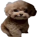 okay Slack emoji