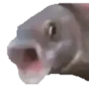 fish scream Slack emoji