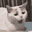 cat yawing Slack emoji