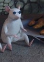 rat shock sit Slack emoji
