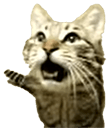 meowsynth Slack emoji