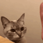 cat high five Slack emoji