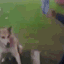 dog handshake Slack emoji