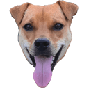 bruce Slack emoji