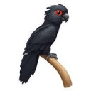 black cockatoo Slack emoji