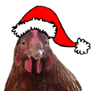 chicken christmas Slack emoji