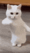 cool fun3 Slack emoji