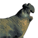 elephant seal Slack emoji