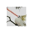 aaaaa cockatoo Slack emoji
