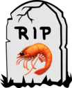 shrip Slack emoji