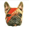 dog alien lightning face Slack emoji