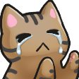 cat tears Slack emoji