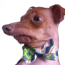 phteven Slack emoji