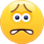 worried Slack emoji