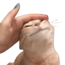 catpet Slack emoji