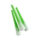 scallion Slack emoji