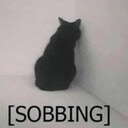 catsobq Slack emoji