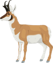 pronghorn antelope Slack emoji