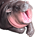 moo deng mad Slack emoji