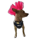 punk pablo Slack emoji