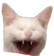 joao Slack emoji