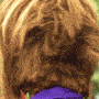 its karen Slack emoji