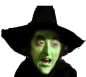 wicked witch wizard of oz Slack emoji