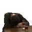 asip five star man Slack emoji